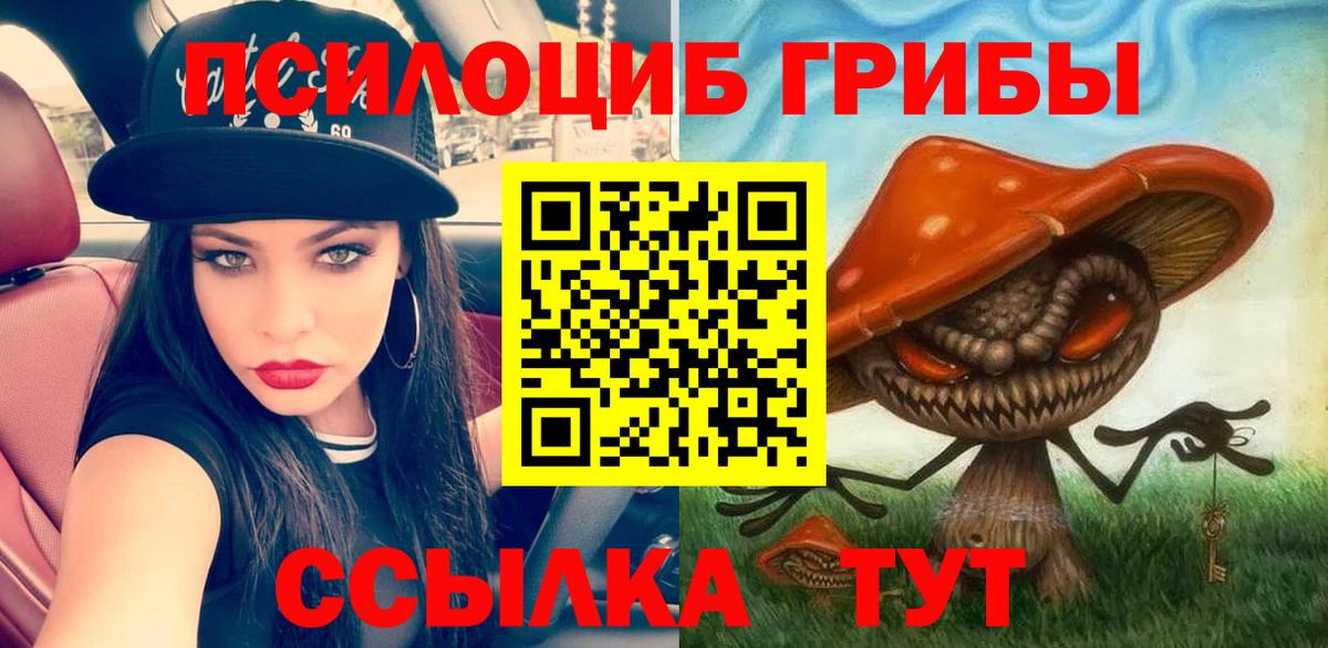 Галлюциногенные грибы прущие грибы Воркута